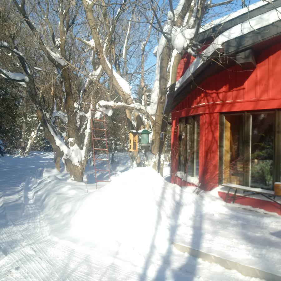 The Retreat House Blue Mountain Hotel Blue Mountains Esterno foto
