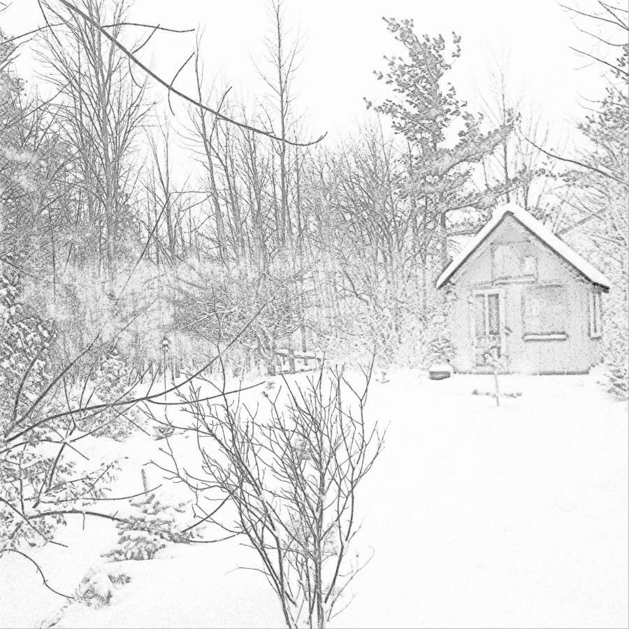 The Retreat House Blue Mountain Hotel Blue Mountains Esterno foto